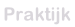 Praktijk.